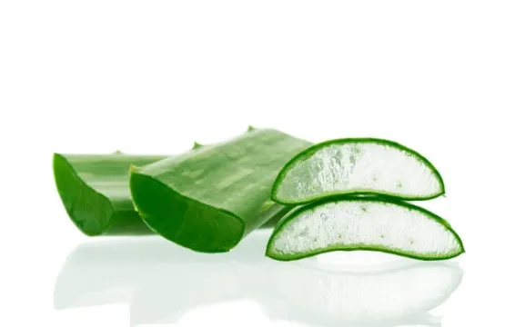 Pianta di aloe vera ingrediente di Aloe Vera Ultra